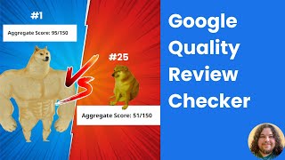 Google Quality Reviews Guidelines Checker [upl. by Ynaffit]