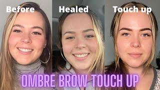 Ombre Powder Brows Healed 6 weeks  Touch up [upl. by Araiek141]