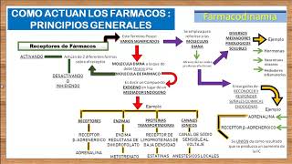 TEMA 3FARMACODINAMIA RECEPTORES FARMACOLOGICOS e introduccion a los AGONISTAS Y ANTAGONISTAS [upl. by Call557]