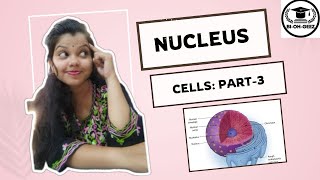 NUCLEUS STRUCTURE AND FUNCTIONS CELLS PART3 [upl. by Rochelle]