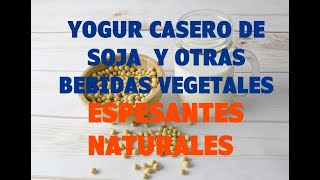 Cómo hacer Yogur casero vegano soja y otras bebidas vegetales Fermentos alta calidad probiótica [upl. by Akelahs248]