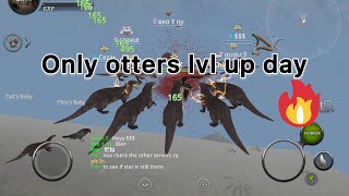 【Pos】Only otters lvl up day 🦦 Wild animals online Wao [upl. by Vilberg]