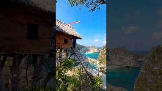 Tree house bali bali travel bangladesh indonesia beach treehouse music [upl. by Kram]