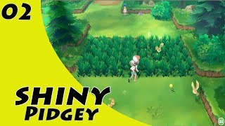 Shiny Pidgey  Route 1 33 ENCOUNTERS  Pokemon Lets Go Eevee [upl. by Enilasor]