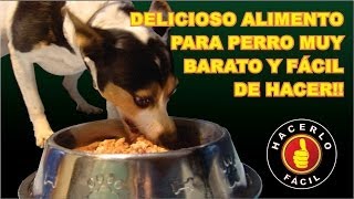 Como Hacer Un Delicioso Alimento Para Perro  Hacerlo Fácil [upl. by Candie211]