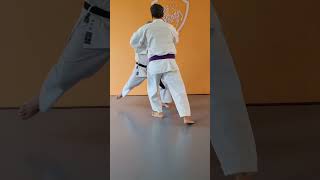 GOSHIN JUTSU shorts karate shotokan selfdedense [upl. by Lehctim]