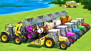 TRANSPORT HORSES amp LOAD SORGHUM WITH FENDT VALTRA TRACTORS amp TRUCKS  FS22 [upl. by Sax]