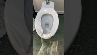 Testing a proflow toilet [upl. by Flemings]