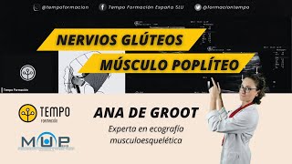 Nervios glúteos y musculo poplíteo con Ana de Groot [upl. by Edyth]