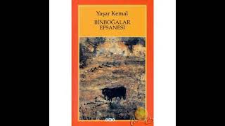 Yaşar kemal🌺Binboğalar efsanesi🌺 PART 11 roman seslikitap yaşarkemal чтение [upl. by Monteith]