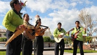 Tierra Fértil  De Moyobamba su San Juan [upl. by Reteip]