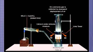 Preparation of Ammonia [upl. by Guinevere566]