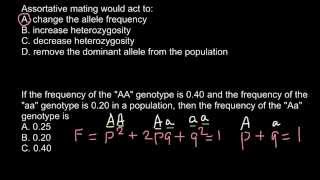 Definition of assortative mating [upl. by Martinson]