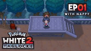 Pokémon White 2 Randomized Taglocke PART ONE w TheKingNappy [upl. by Aihset673]