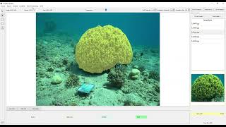 CoralNet Toolbox  001  Demo 7 [upl. by Lochner]