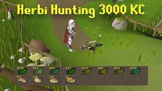 Road To All Pets  3000 Herbiboar kc  Unlocking Volcanic Mine Rewards  im a meme  Fossil Island [upl. by Tezile]