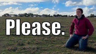 We NEED Rain Australian Sheep Farm Vlog [upl. by Clementas]