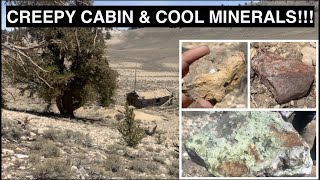 Rockhounding amp Exploring the Creepy Cabin Grave amp Abandoned Mines in the White Mountains CA [upl. by Newlin]