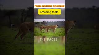 How did Zimbabwes currency grow numericallytktfacts facts funfacts ytshorts new trending [upl. by Nydnarb]