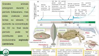 AULA 01 Filogenia de Ecdysozoa e A fauna do Cambriano [upl. by Dang]