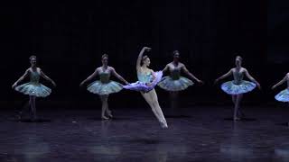 Roxane Stojanov as the Queen of the Dryads in quotDon Quixotequot by Rudolf Nureyev variation [upl. by Labors]