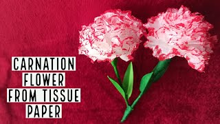 Tissue Paper Flower Carnation DIY  How To Make A Carnation Flower From Tissue Paper [upl. by Chavaree745]