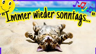 LUSTIGE Sonntagsgrüße von süßen Miezen 🐱 zum Teilen [upl. by Lraep]