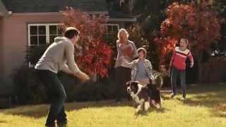 TV Commercial Spot  PetSmart  Embrace your Inner Athlete  Football Pet Toys  Inspired By Pets [upl. by Siri735]