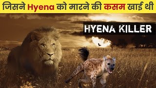 Hyena Killer Lion । Lion Attack Hyena । Ntwadumela Lion । Alpha Factz [upl. by Aenehs]