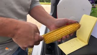 Day 1 Pro Farmer Crop Tour Ohio Recap [upl. by Yffub148]