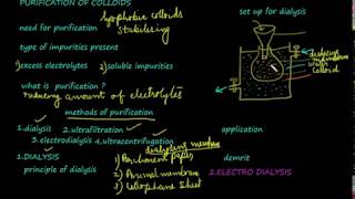 Dialysis purification of colloids class 12 chemistrysurface chemistryvideo 14 [upl. by Assener]