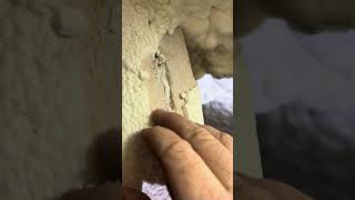 Home Inspection “mold and roof damage” [upl. by Sajovich]