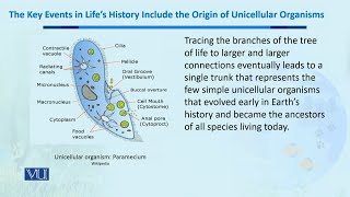 History include the Organic of unicellular Organisms  Biodiversity amp EvolutionII  BT201Topic181 [upl. by Ydnas]