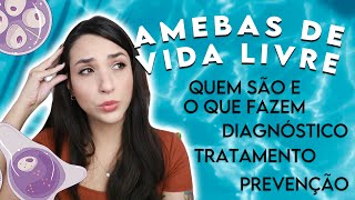 Amebas de Vida Livre Naegleria fowleri Acanthamoeba e Balamuthia mandrillaris  PARASITOLOGIA 10 [upl. by Nylanna]