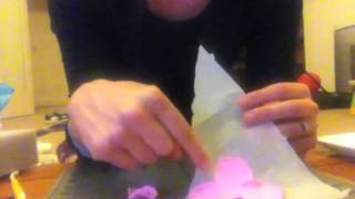 Easy Fondant Flower Tutorial [upl. by Sevik]