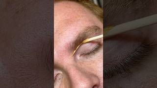 The Ultimate Eyebrow Waxing Tutorial for Perfect Arches [upl. by Gardia936]