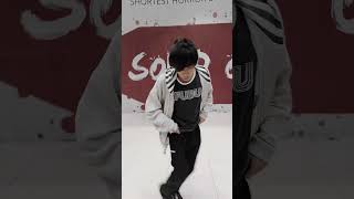 SEVENTEEN  MAESTRO Dance Break Cover [upl. by Kylah]