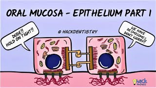 Oral Mucosa  An Introduction [upl. by Gwenneth281]