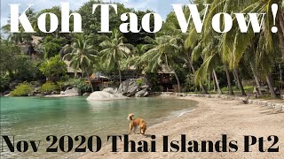 Koh Tao Sairee Hotels  130 Month Home 2020 Thai Islands Tour [upl. by Dot]