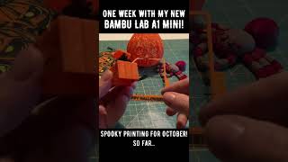 Bambu Lab A1 Mini For The Win [upl. by Acey947]