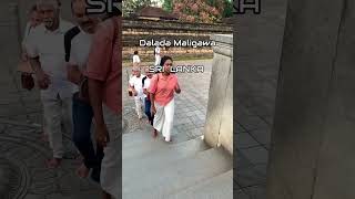 හිත නිවන තැන් ❤️🥺trending minivlooogs dayvlog kandy daladamaligawa [upl. by Ais7]