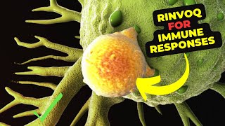 Rinvoq Mechanism Side Effects and Its Role in Ulcerative Colitis Management [upl. by Aicilla686]