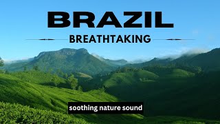 quotEnchanting Brazil Immersive Views of Lush Forests and Breathtaking Sceneryquot [upl. by Thackeray]