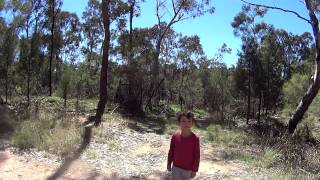 Fossicking in the outback of Inverell NSW [upl. by Oca]