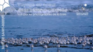 Voyage au cœur de la Réserve naturelle [upl. by Alabaster]