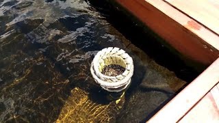 AMAZING DIY POND SKIMMER IN ACTION [upl. by Docilu]