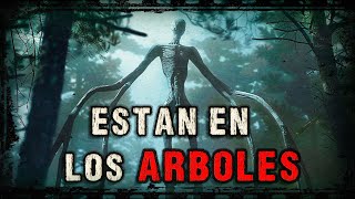 Están en los árboles  Creepypasta  PI [upl. by Molloy]