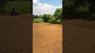 Sweet Corn Planting Adventure 🌽🌽 shorts plantation corn sweetcorn seeds organic maize [upl. by Bihas]