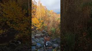 Ashness Bridge Lake District placestovisitinuk keswick lakedistrict [upl. by Nnyla]