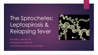 The Spirochetes Leptospirosis and Relapsing Fever  Richard L Oehler MD [upl. by Olpe]